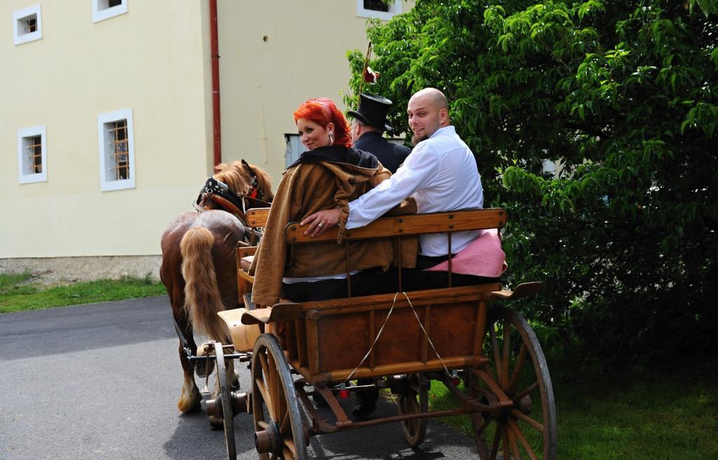 Penzion Zamek Rozsochatec Zewnętrze zdjęcie